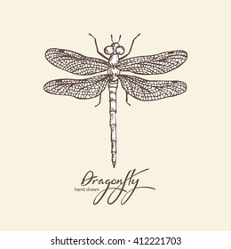 Background with dragonfly. hand drawn