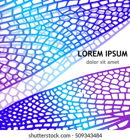 background dragonfly wing. Vector