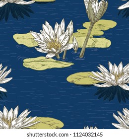 Background of the drawn water lilies