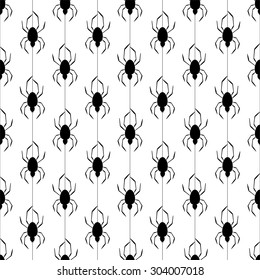Background from dropped black spider on a spider web on a white background
