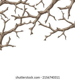 Background with dry bare branches. Decorative natural twigs.