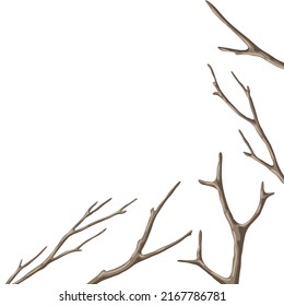 Fondo con ramas secas desnudas. Tiras naturales decorativas.