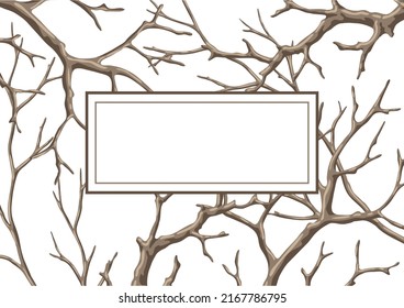Fondo con ramas secas desnudas. Tiras naturales decorativas.