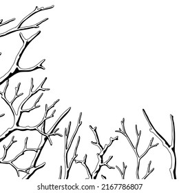 Fondo con ramas secas desnudas. Tiras naturales decorativas.
