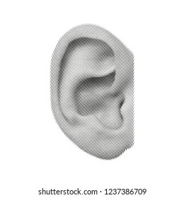 Background with ear in engraved style. Eps 10