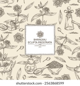 Background with eclipta prostrata: bhringraj plant, leaves and eclipta prostrata flowers. Oil, soap and bath salt . Cosmetics and medical plant. Vector