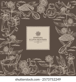 Background with eclipta prostrata: bhringraj plant, leaves and eclipta prostrata flowers. Oil, soap and bath salt . Cosmetics and medical plant. Vector