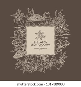 Antecedentes con edelweiss, flores edelweiss, jabón y sal de baño. Planta cosmética y médica. Ilustración dibujada a mano por vectores. 