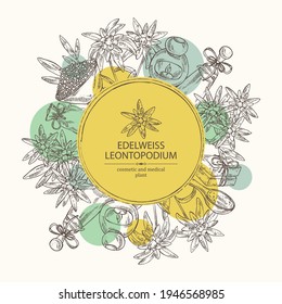 Background with edelweiss, edelweiss flowers, soap and bath salt . Cosmetic and medical plant. Vector hand drawn illustration. 