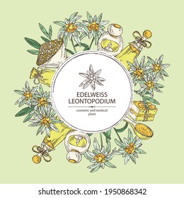 Background with edelweiss, edelweiss flowers, soap and bath salt . Cosmetic and medical plant. Vector hand drawn illustration. 