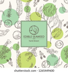 Background with edible seaweed: laminaria seaweed, macrocystis, chlorella seaweed and fucus. Brown algae. Vector hand drawn illustration