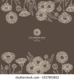 Fondo con alto panel eléctrico: flor y hojas de elecampano. Planta cosmética y médica. Ilustración dibujada a mano por el vector