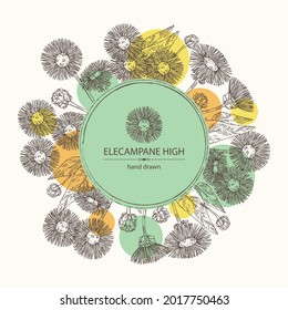 Fondo con alto panel eléctrico: flor y hojas de elecampano. Planta cosmética y médica. Ilustración dibujada a mano por el vector