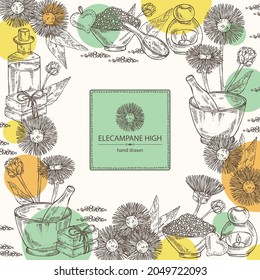 Background with elecampane high: elecampane flower and leaves. Oil, soap and bath salt . Cosmetics and medical plant. Vector hand drawn illustration