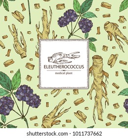Background with eleutherococcus: branch, berries and eleutherococcus root. Siberian ginseng. Cosmetic and medical plant. Vector hand drawn illustration. 
