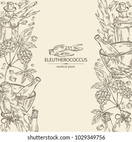 Background with eleutherococcus: branch, berries and eleutherococcus root. Siberian ginseng. Cosmetic and medical plant. Vector hand drawn illustration. 