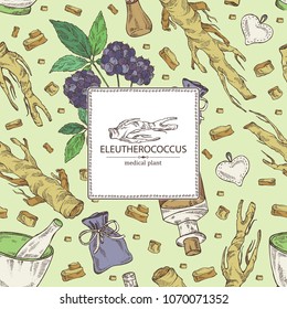 Background with eleutherococcus: branch, berries and eleutherococcus root. Siberian ginseng. Cosmetic and medical plant. Vector hand drawn illustration. 