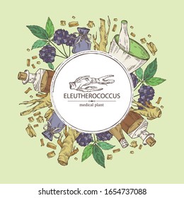 Background with eleutherococcus: branch, berries and eleutherococcus root. Siberian ginseng. Cosmetic and medical plant. Vector hand drawn illustration. 