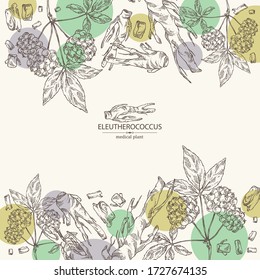 Background with eleutherococcus: branch, berries and eleutherococcus root. Siberian ginseng. Cosmetic and medical plant. Vector hand drawn illustration. 