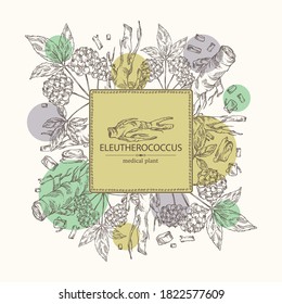 Hintergrund mit Eleutherococcus: Ast, Beeren und Eleutherococcus-Wurzel. Sibirische Ginseng. Kosmetische und medizinische Pflanze. Vektorgrafik, handgezeichnet. 