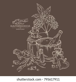 Background with eleutherococcus: branch, berries and eleutherococcus root. Siberian ginseng. Cosmetic and medical plant. Vector hand drawn illustration. 