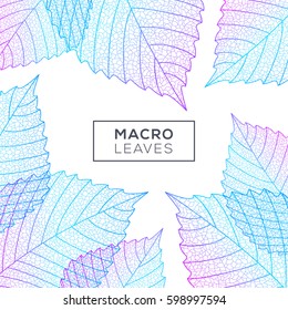 Background with elm leaves macro structure. Blue and pink colors. Vector illustration. Environment and ecology concept frame with place for text.