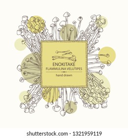 Background with enokitake: flammulina velutipes mushroom. Mushroom. Vector hand drawn illustration