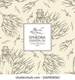 Fondo con rama de efedra, bayas y botella de aceite esencial de efedra. Planta cosmética, perfumería y médica. Ilustración dibujada a mano por vectores.
