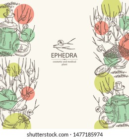 Background with ephedra: schisandra branch of chinese ephedra, berries, soap and bath salt . Cosmetic and medical plant. Vector hand drawn illustration