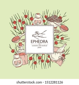 Background with ephedra: schisandra branch of chinese ephedra, berries, soap and bath salt . Cosmetic and medical plant. Vector hand drawn illustration