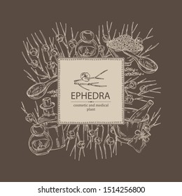 Background with ephedra: schisandra branch of chinese ephedra, berries, soap and bath salt . Cosmetic and medical plant. Vector hand drawn illustration
