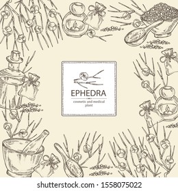 Background with ephedra: schisandra branch of chinese ephedra, berries, soap and bath salt . Cosmetic and medical plant. Vector hand drawn illustration