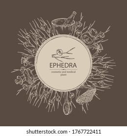 Background with ephedra: schisandra branch of chinese ephedra, berries, soap and bath salt . Cosmetic and medical plant. Vector hand drawn illustration