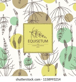 Background with equisetum: plant and escape equisetum. Horsetail. Cosmetics and medical plant. Vector hand drawn illustration.