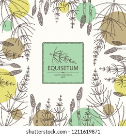 Background with equisetum: plant and escape equisetum. Horsetail. Cosmetics and medical plant. Vector hand drawn illustration.