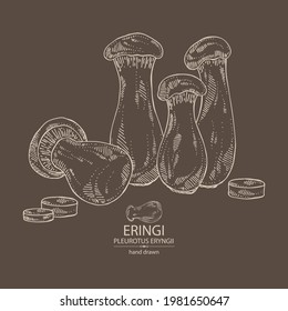 Background with eringi: eringi mushrooms and piece of mushroom. Pleurotus eryngii. Vector hand drawn Mushroom illustrations