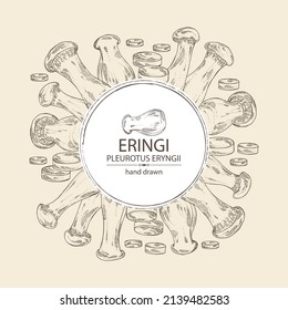 Background with eringi: eringi mushrooms and piece of mushroom. Pleurotus eryngii. Vector hand drawn Mushroom illustrations