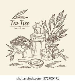 Fondo con aceite esencial, sal de baño, jabón y árbol de té. Cosméticos y plantas médicas. dibujado a mano.