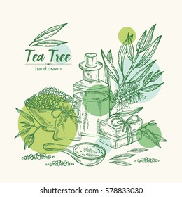 Background with essential oil, bath salt ,soap and tea tree. Cosmetics and medical plant. hand drawn.