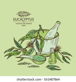 Background with essential oil, soap, bath salt and eucalyptus. Cosmetics and medical plant. hand drawn