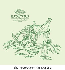 Background with essential oil, soap, bath salt and eucalyptus. Cosmetics and medical plant. hand drawn