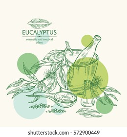 Background with essential oil, soap, bath salt and eucalyptus. Cosmetics and medical plant. hand drawn