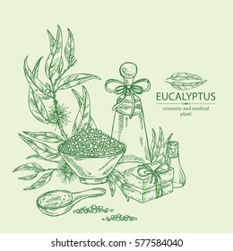 Background with essential oil, soap, bath salt and eucalyptus. Cosmetics and medical plant. hand drawn