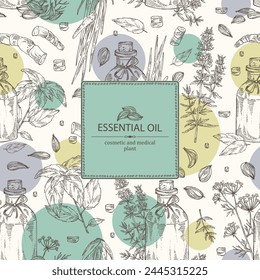 Fondo con aceites esenciales: aceite esencial de albahaca, acorus calamus, aceite de hyssopus, aceite esencial de semillas de azhgon. Cosmética, perfumería y planta médica. Vector dibujado a mano