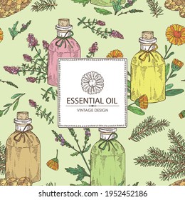 Background with essential oils: calendula oil, thyme essential oil, verbena oil, spruce. Cosmetic, perfumery and medical plant. Vector hand drawn illustration