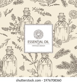 Background with essential oils: calendula oil, thyme essential oil, verbena oil, spruce. Cosmetic, perfumery and medical plant. Vector hand drawn illustration