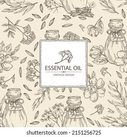 Background with essential oils: gardenia flower essential oil, tansy flower, tarragon oil, cumin essential oil. Cosmetic, perfumery and medical plant. Vector hand drawn illustration.