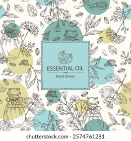 Background with essential oils: melissa essential oil, dill seeds, flax oil, tea leaves essential oil. Cosmetic, perfumery and medical plant. Vector hand drawn