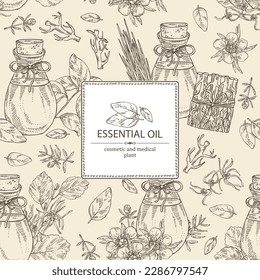Fondo con aceites esenciales: aceite esencial de raíz vetiver, flor de manuka, aceite de albahaca, flores de hamamelis virginiana aceite esencial. Cosmética, perfumería y planta médica. Vector 