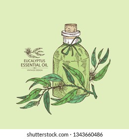 Background with eucalyptus and bottle of eucalyptus essential oil. Cosmetic, perfumery and medical plant. Vector hand drawn